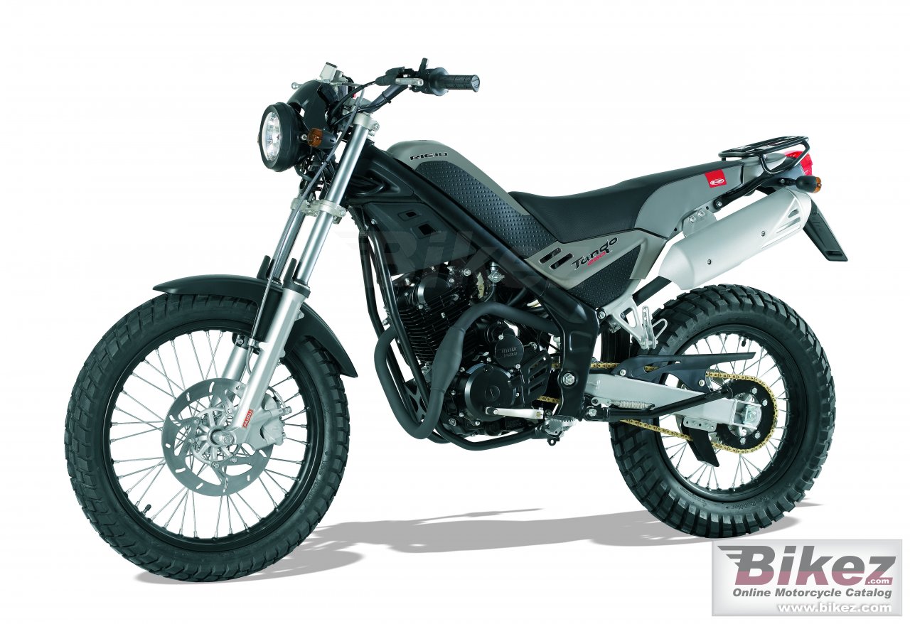 Big Rieju tango 250 picture and wallpaper from Bikez.com